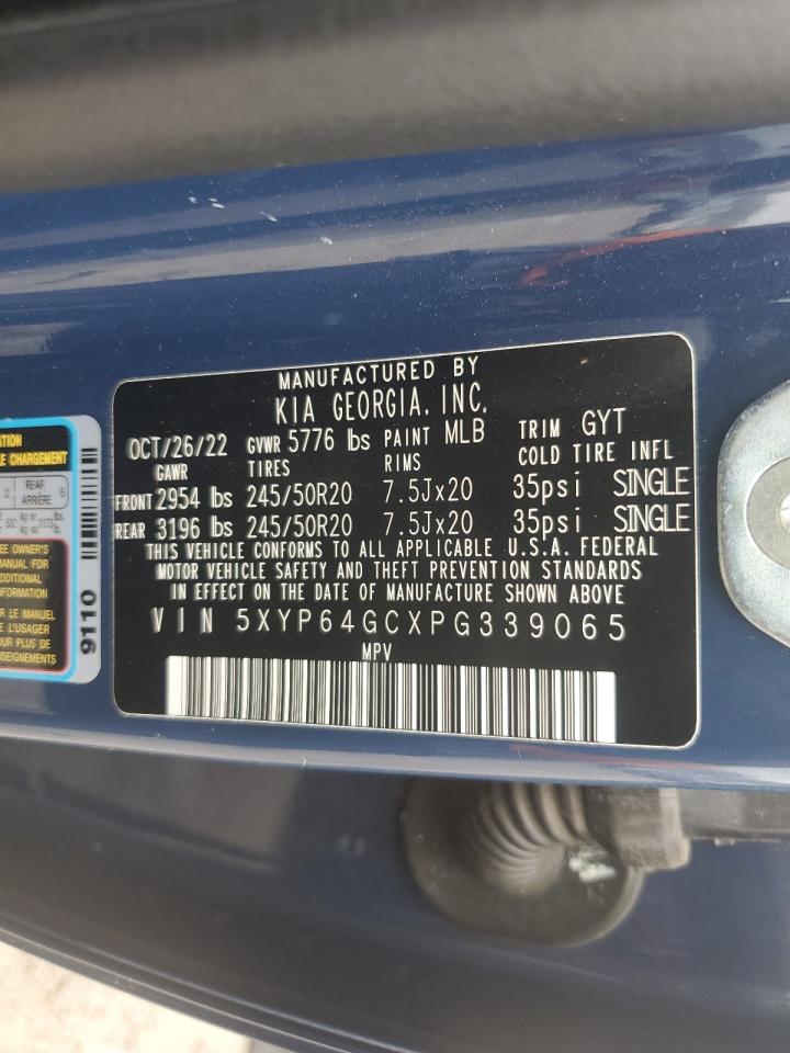 2023 KIA TELLURIDE S VIN:5XYP64GCXPG339065