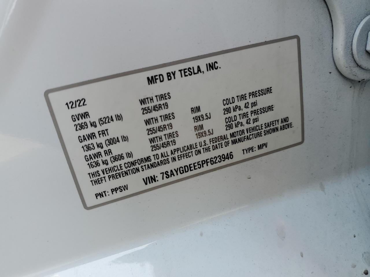 2023 TESLA MODEL Y VIN:7SAYGDEE5PF623946