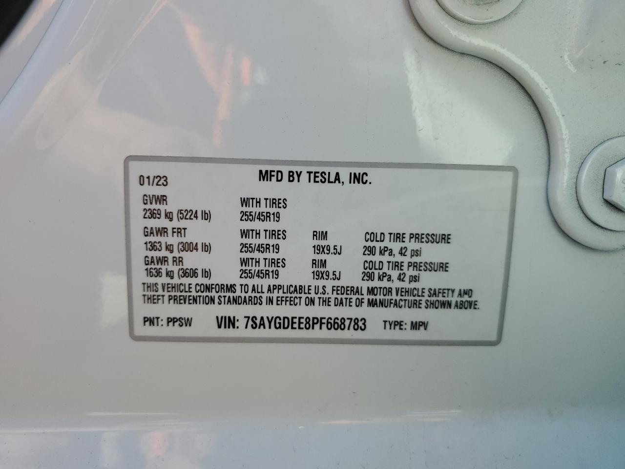 2023 TESLA MODEL Y VIN:7SAYGDEE8PF668783