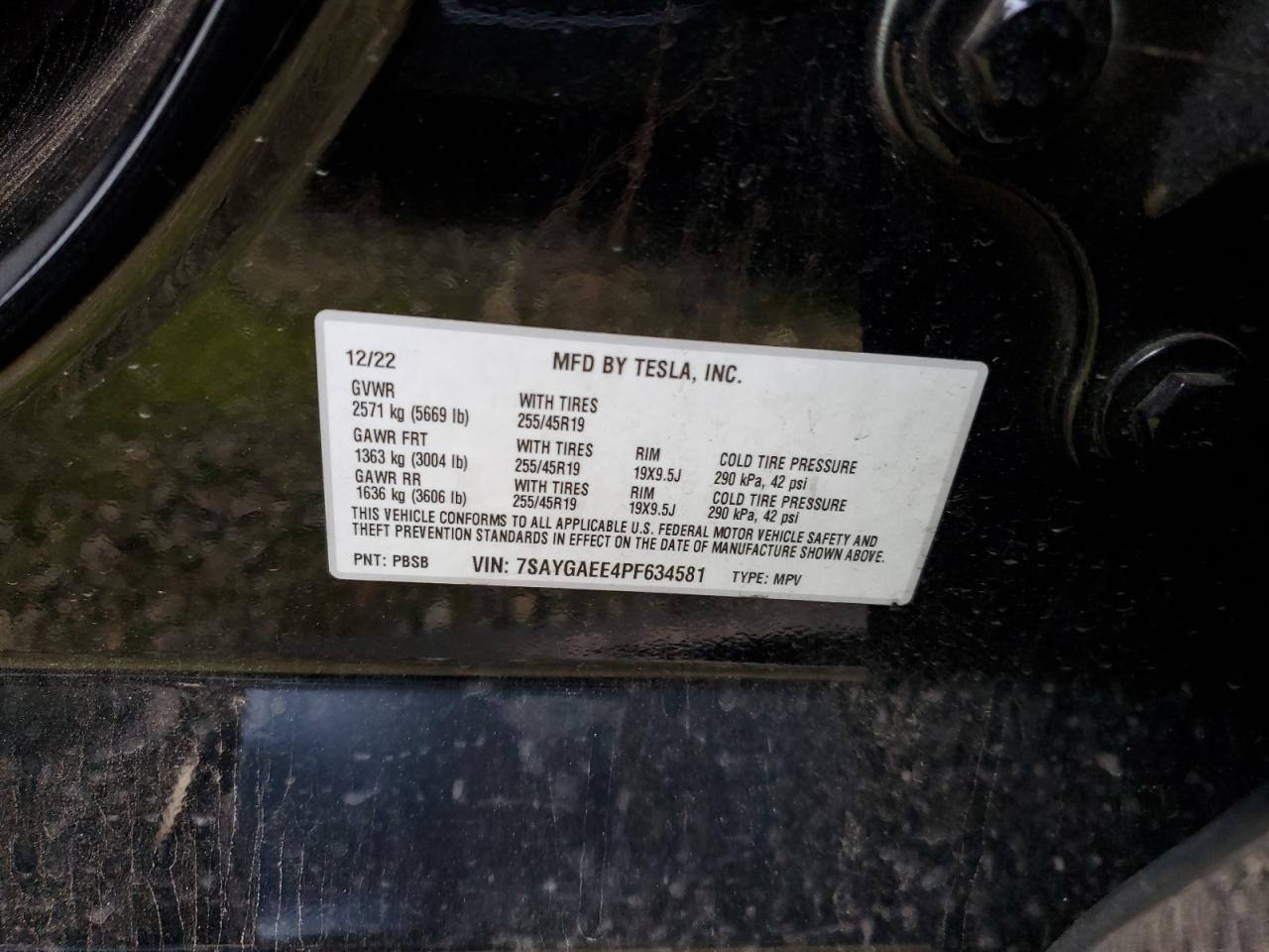 2023 TESLA MODEL Y VIN:7SAYGAEE4PF634581