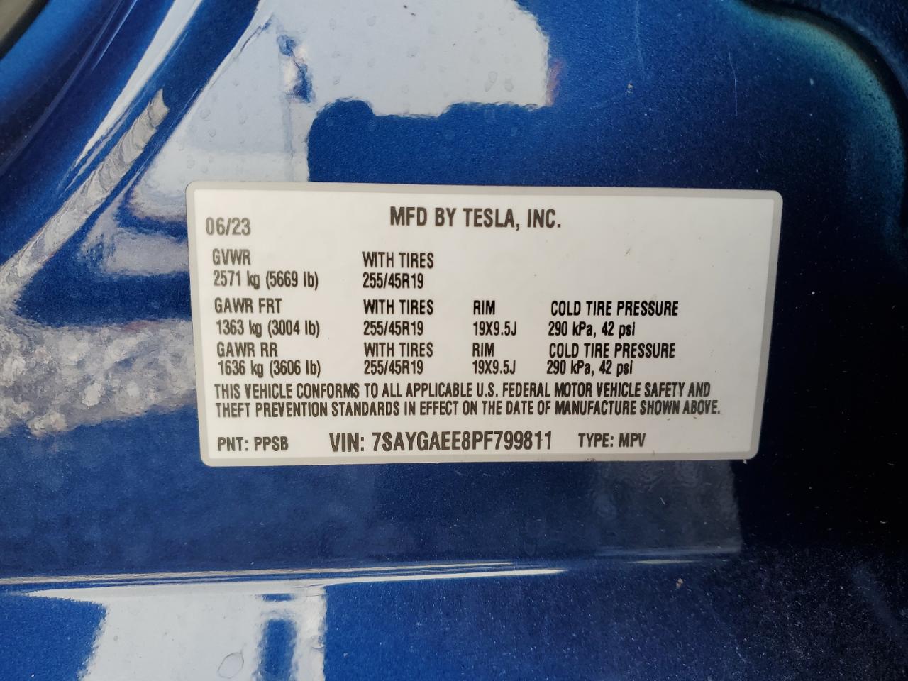 2023 TESLA MODEL Y VIN:7SAYGAEE8PF799811