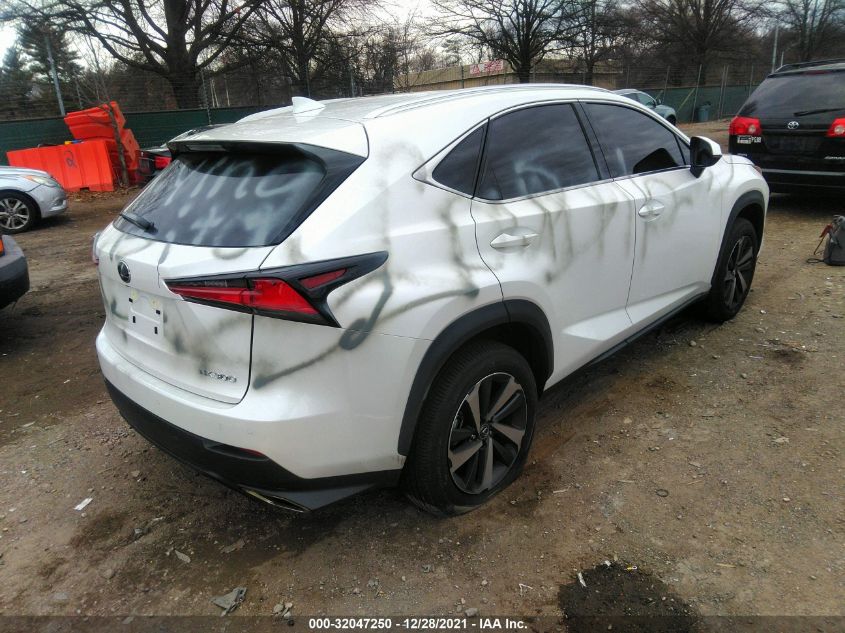 2021 LEXUS NX NX 300 VIN: JTJGARDZ9M5030435