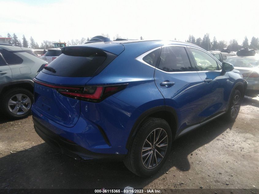 2022 LEXUS NX NX 250 VIN: JTJADCAZ1N2001822