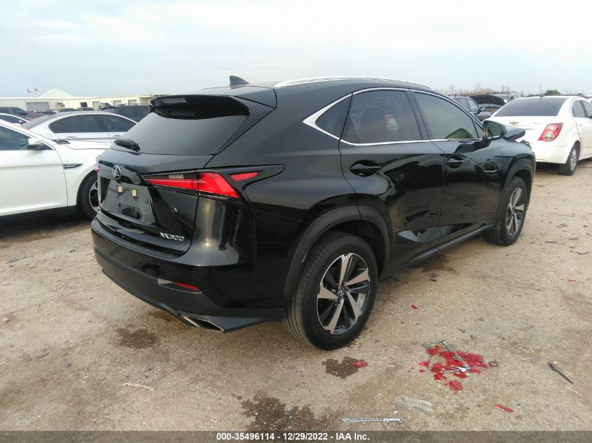 2020 LEXUS NX NX 300 VIN: JTJGARBZ9L5003298