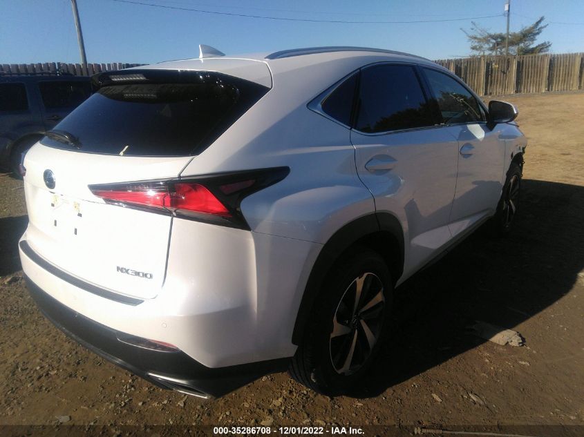 2021 LEXUS NX NX 300 VIN: JTJGARBZ9M5034231