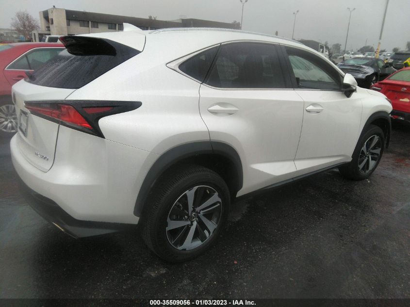 2021 LEXUS NX NX 300 VIN: JTJGARBZ1M5029198