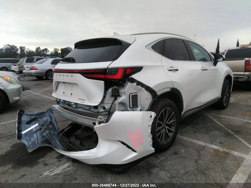 2022 LEXUS NX NX 350 VIN: JTJAGCEZ8N2003116