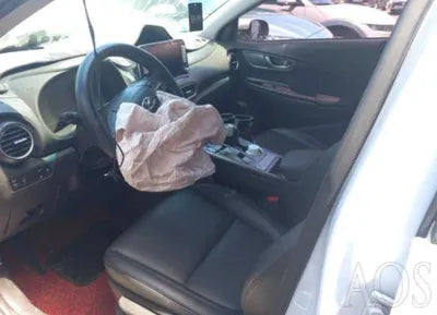 2019 Hyundai Kona KMHK281GFKU015959 VIN:KMHK281GFKU015959