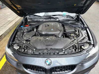 2020 BMW 430 WBA4Z1100L5R60645 VIN:WBA4Z1100L5R60645