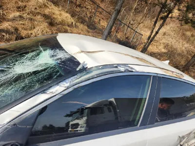 2017 Kia K5 KNAGT41EBHA009834 VIN:KNAGT41EBHA009834