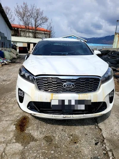 2020 Kia Sorento KNAPH811BLA645981 VIN:KNAPH811BLA645981