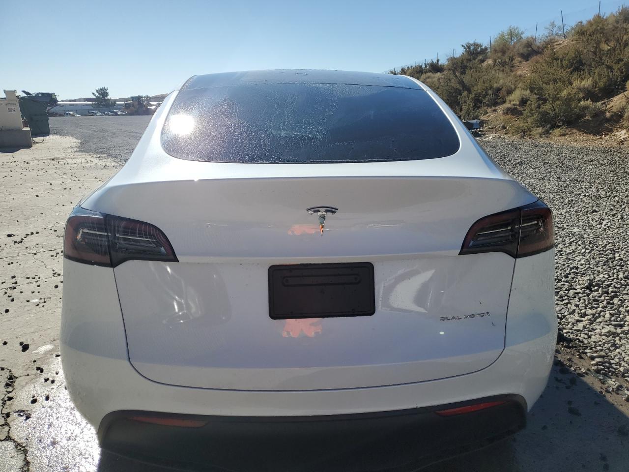 2024 TESLA MODEL Y  VIN:7SAYGDEE2RF153619