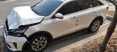2019 Kia Sorento KNAPK81BDLA554946 VIN:KNAPK81BDLA554946