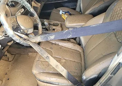2019 Hyundai Santa FE KMHS381BDKU033487 VIN:KMHS381BDKU033487