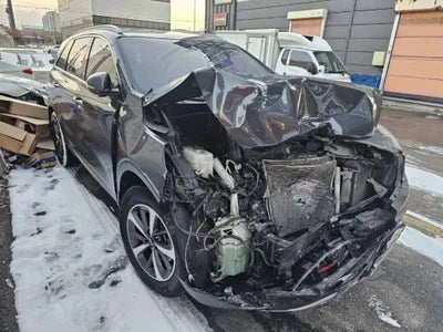2019 Kia Sorento KNAPG81ABKA518989 VIN:KNAPG81ABKA518989