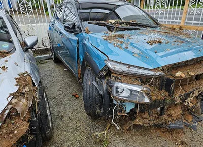 2019 Hyundai Kona KMHK7815GKU291067 VIN:KMHK7815GKU291067