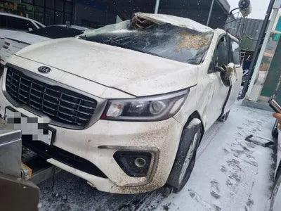 2019 Kia Carnival 115KMKNAME81ABKS5 VIN:115KMKNAME81ABKS5