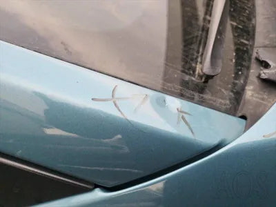 2019 Hyundai Kona KMHK381GFKU029477 VIN:KMHK381GFKU029477