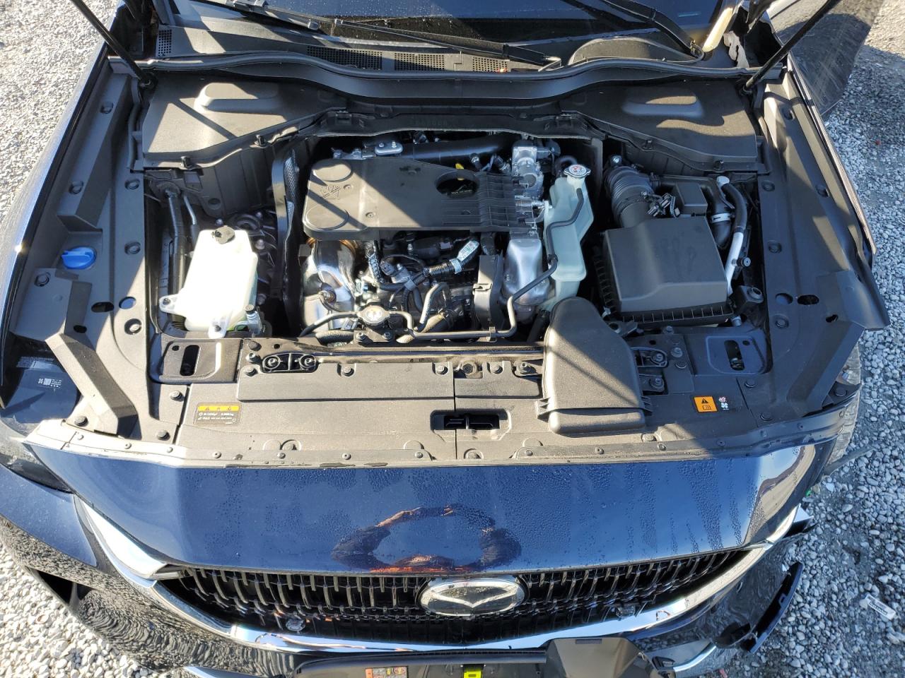 2024 MAZDA CX-90 PREMIUM PLUS VIN:JM3KKEHC1R1167139