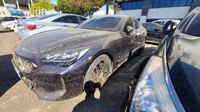2021 Kia Stinger KNAE351DBMS096955 VIN:KNAE351DBMS096955