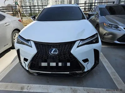 2020 Lexus UX 250 VIN: