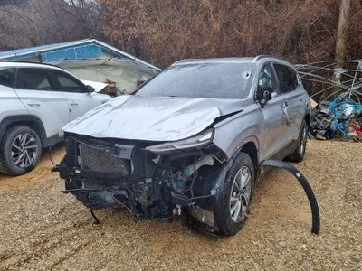 2019 Hyundai Santa FE KMHS281BDKU137495 VIN:KMHS281BDKU137495