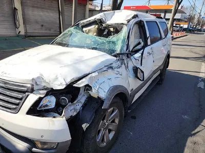 2015 Kia Mohave KNAKR814DFA137663 VIN:KNAKR814DFA137663