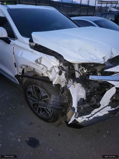 2020 Hyundai Santa FE KMHS381BDLU305534 VIN:KMHS381BDLU305534