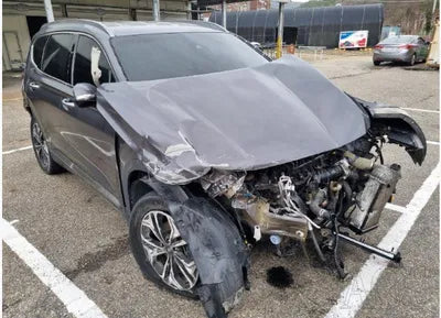 2019 Hyundai Santa FE KMHS381BBKU066114 VIN:KMHS381BBKU066114
