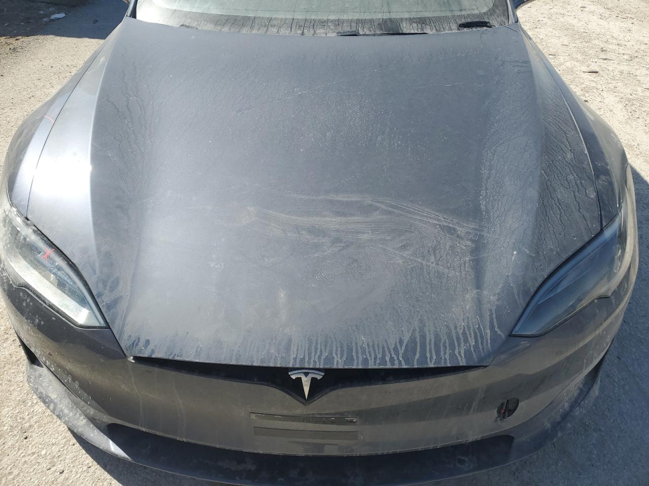 2023 TESLA MODEL S  VIN:5YJSA1E53PF512430