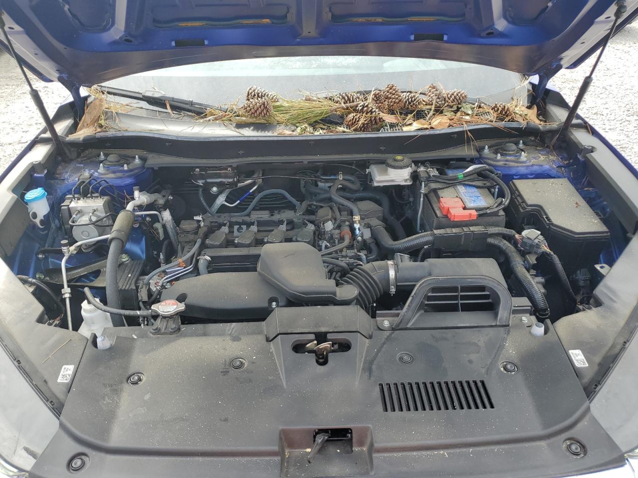 2023 HONDA CR-V EXL VIN:7FARS3H74PE001639