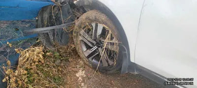 2017 Kia Sorento 339KMKNAPH81ABHA3 VIN:339KMKNAPH81ABHA3