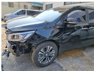 2020 Kia Carnival KNAMB81ABLS622598 VIN:KNAMB81ABLS622598