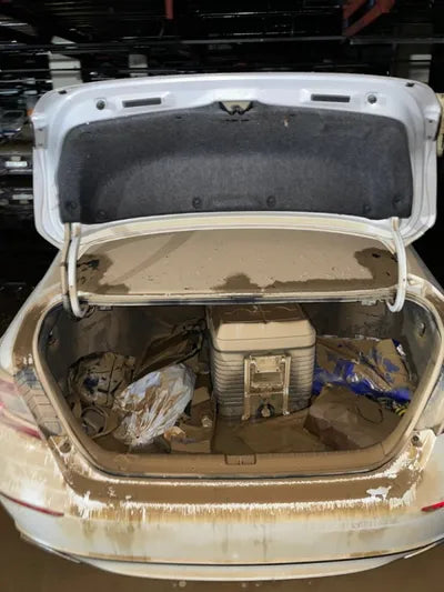 2019 Honda Accord VIN: