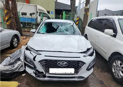 2018 Hyundai Kona KMHK7815GJU015197 VIN:KMHK7815GJU015197