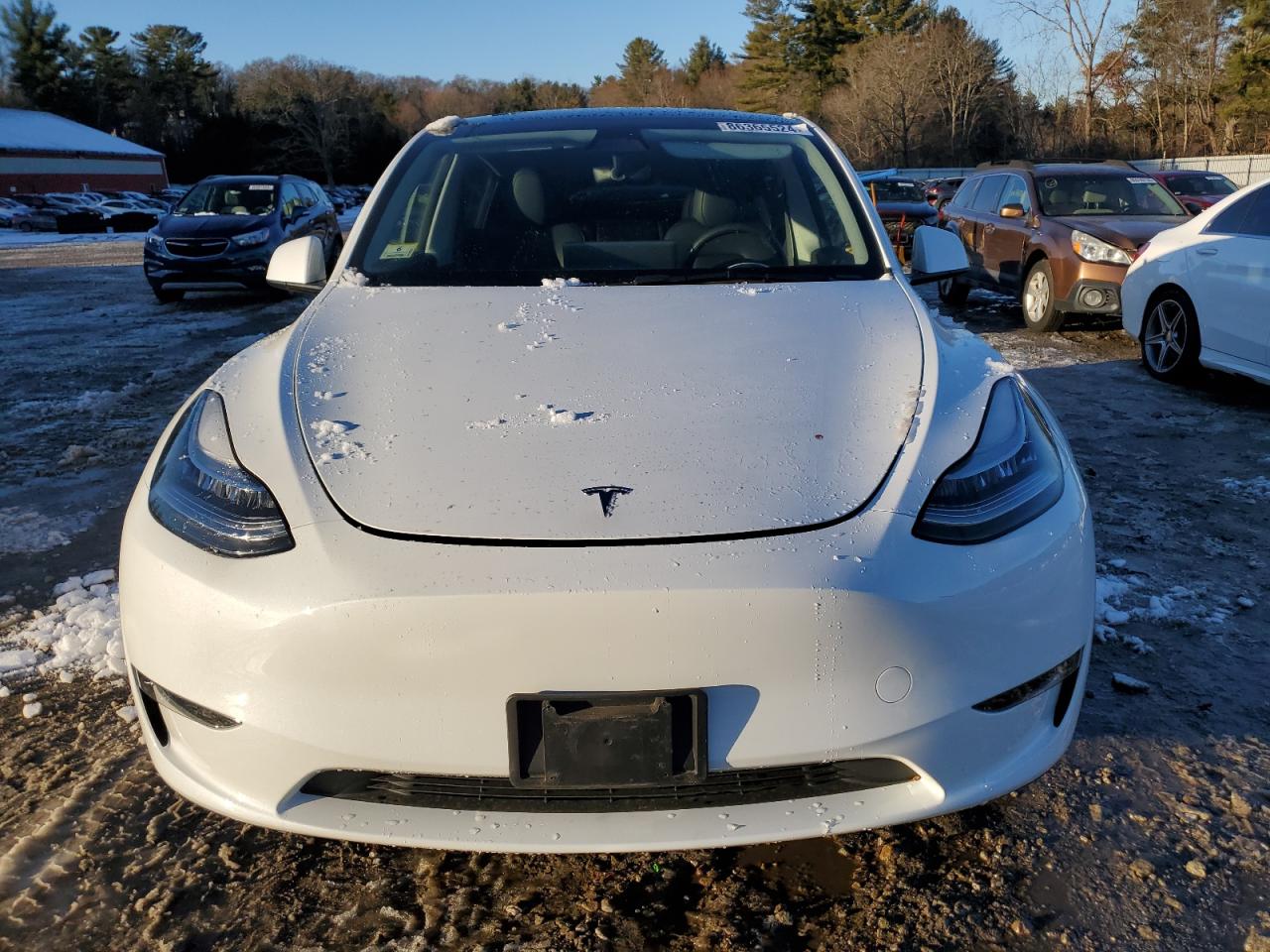 2023 TESLA MODEL Y  VIN:7SAYGDEE5PA129745
