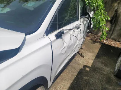 2020 Hyundai Santa FE KMHS381HGMU328111 VIN:KMHS381HGMU328111