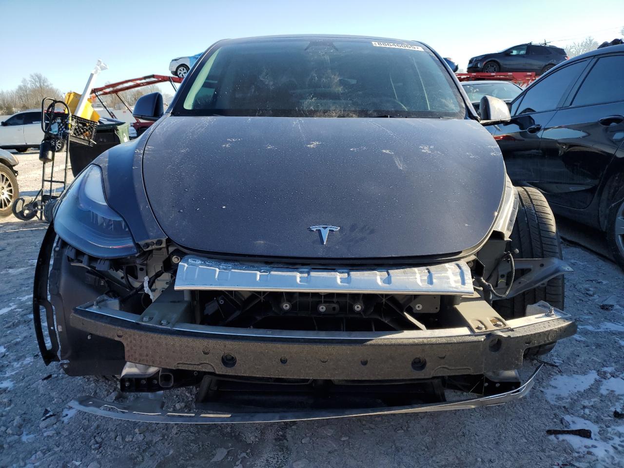 2023 TESLA MODEL Y  VIN:7SAYGDEF9PF698710