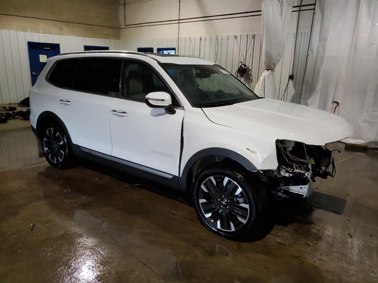 2024 KIA TELLURIDE SX VIN:5XYP5DGC4RG476640