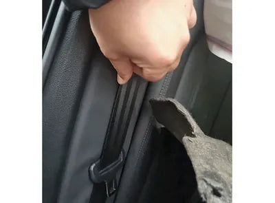 2020 Audi A6 WAUZZZF25LN010134 VIN:WAUZZZF25LN010134