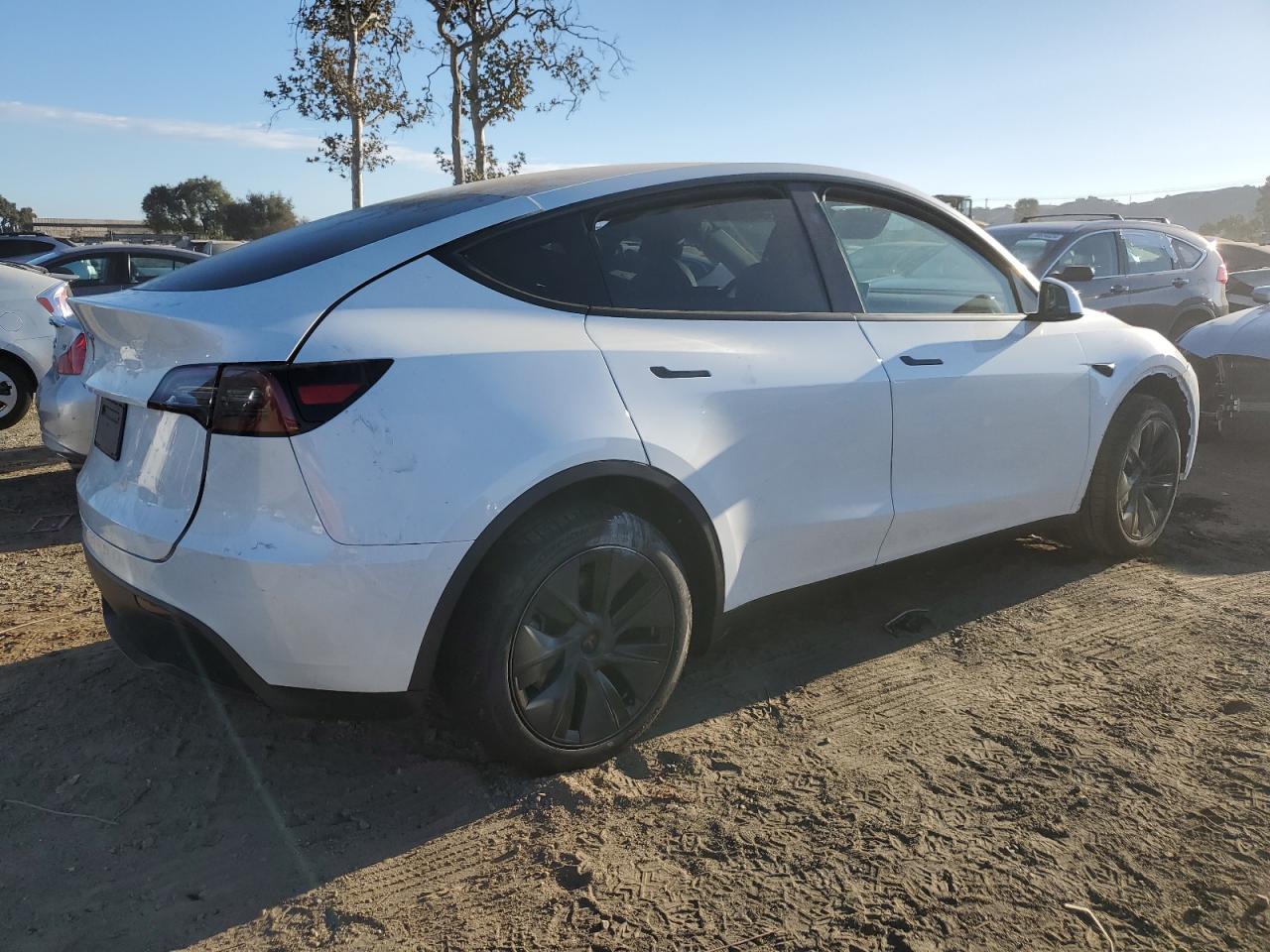 2024 TESLA MODEL Y  VIN:7SAYGDED8RF156144