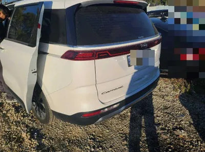 2021 Kia Carnival KNANE81BBMS103206 VIN:KNANE81BBMS103206