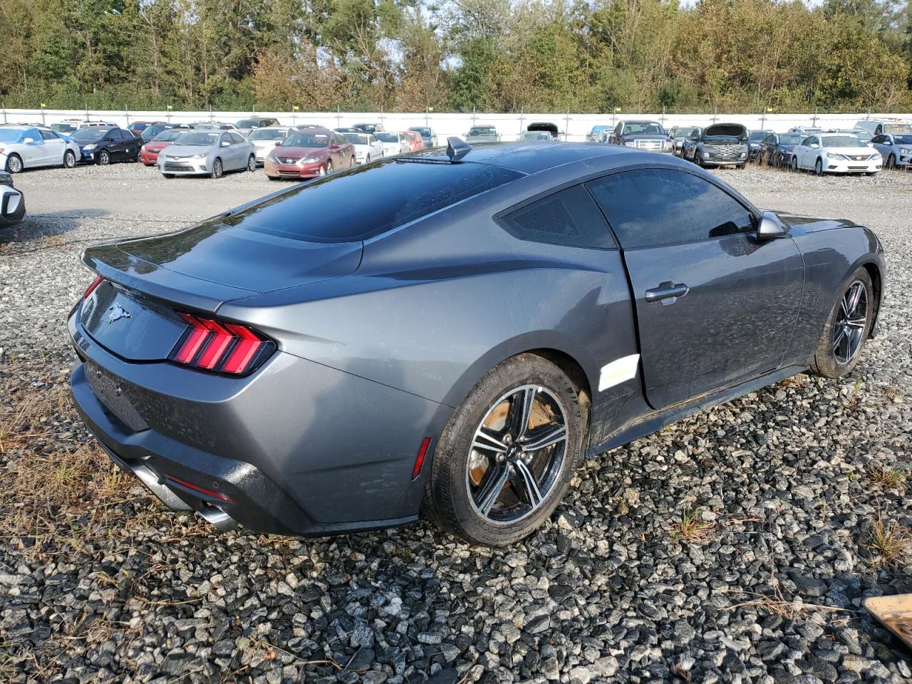 2024 FORD MUSTANG  VIN:1FA6P8TH7R5121622