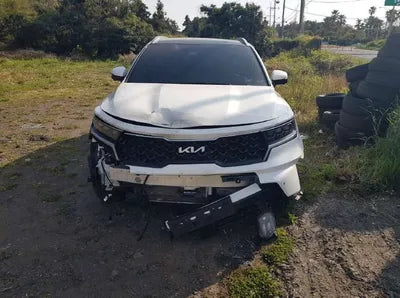 2021 Kia Sorento KNARK81BHNA133310 VIN:KNARK81BHNA133310