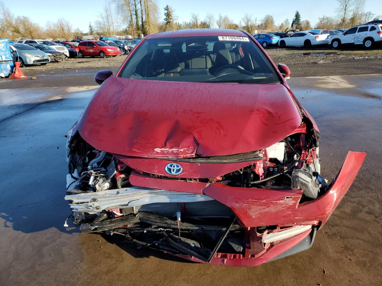 2024 TOYOTA COROLLA LE VIN:JTDBCMFE9RJ035881