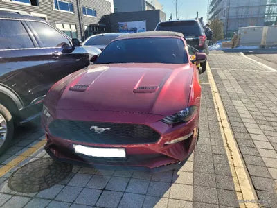 2019 Ford Mustang 1FATP8UH3K5196891 VIN:1FATP8UH3K5196891