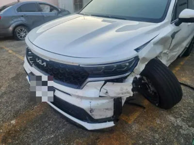 2023 Kia Sorento KNARH81GBPA214993 VIN:KNARH81GBPA214993