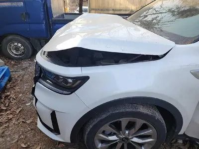 2020 Kia Sorento KNAPG81BBLA569568 VIN:KNAPG81BBLA569568