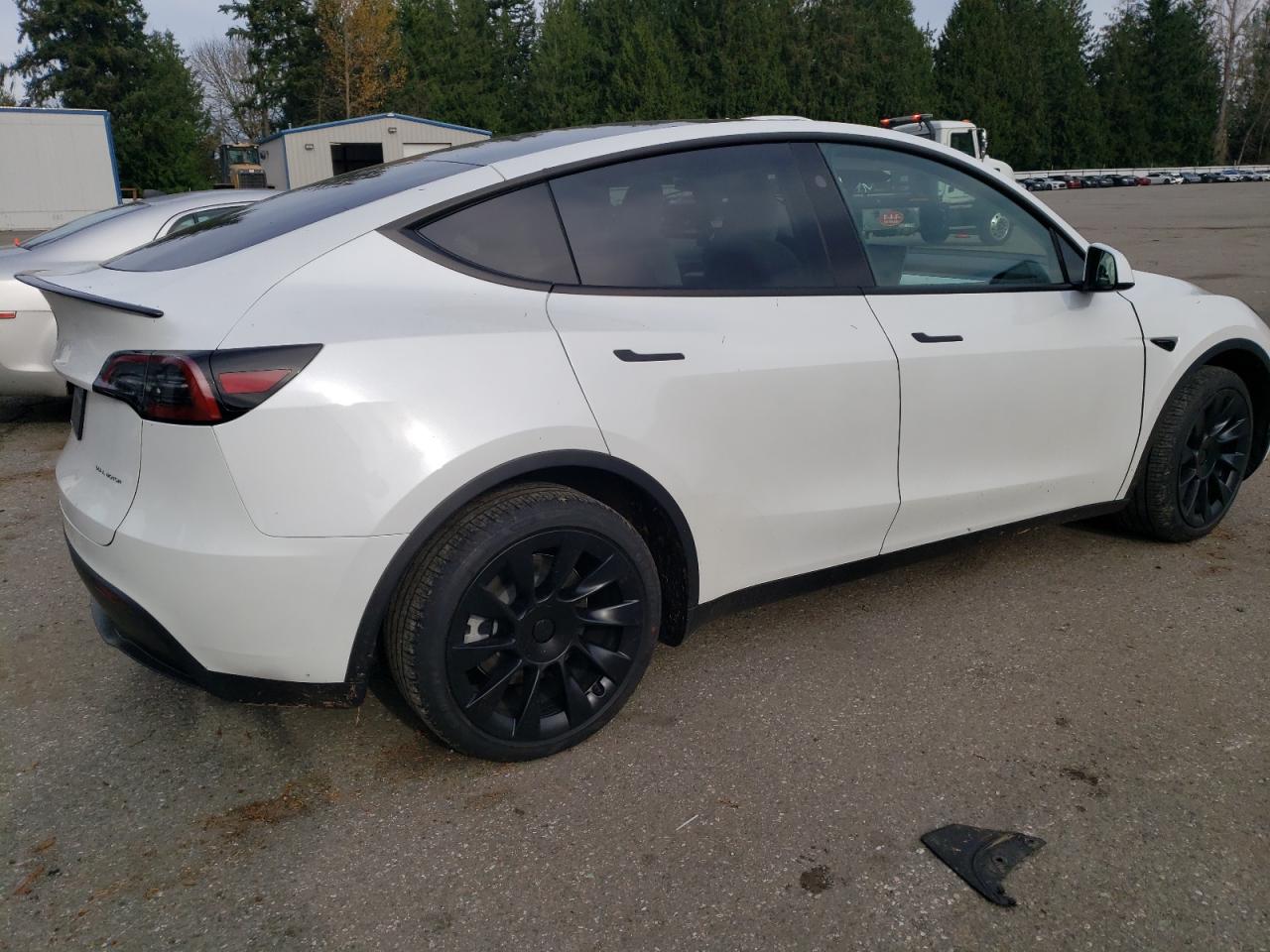 2024 TESLA MODEL Y  VIN:7SAYGAEE1RF190241