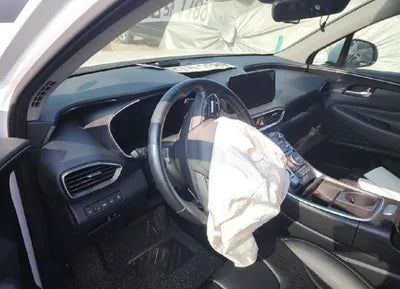2021 Hyundai Santa FE KMHS381HHMU325003 VIN:KMHS381HHMU325003